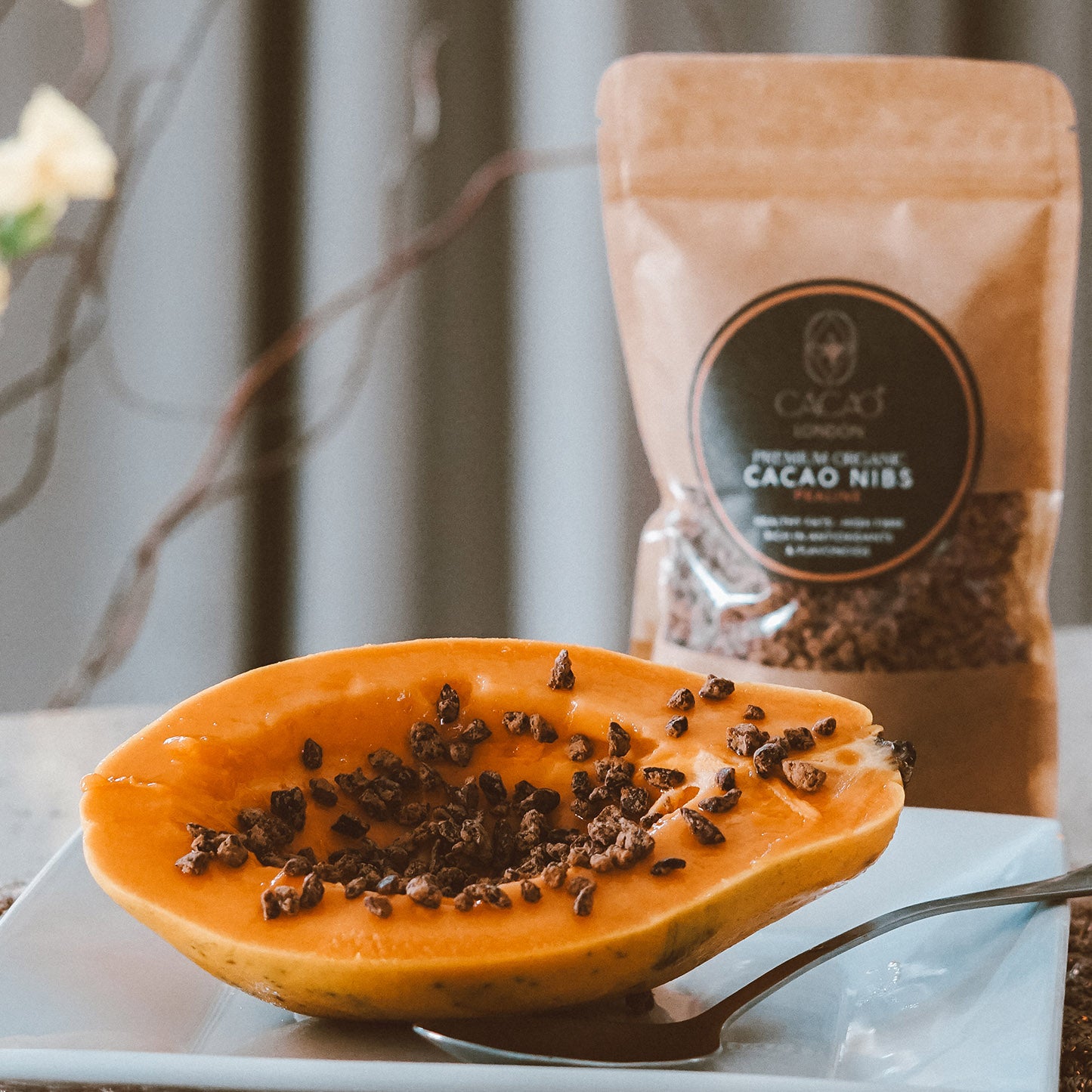 Organic Cacao Nibs Praline
